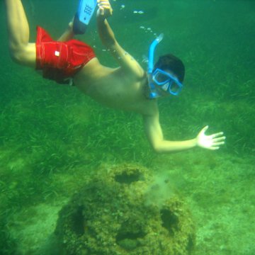img_0415 img_0415