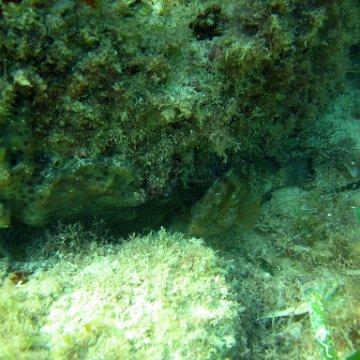 img_0418 img_0418
