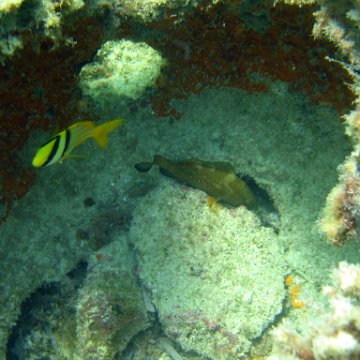 img_0420 img_0420