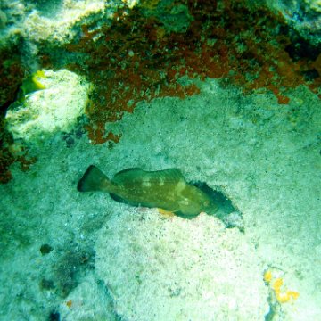 img_0421 img_0421