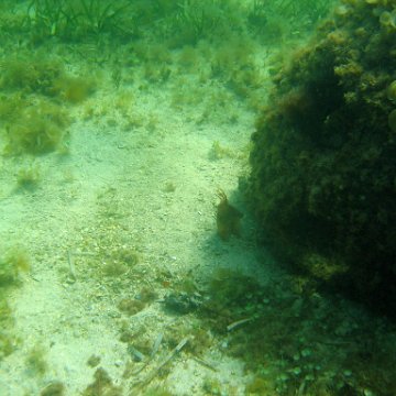 img_0422 img_0422