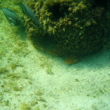 img_0425 img_0425