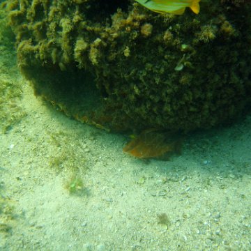 img_0426 img_0426