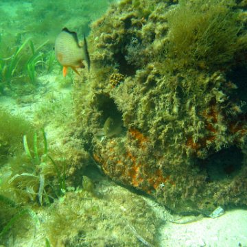 img_0427 img_0427