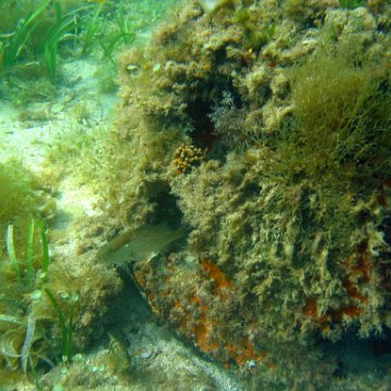 img_0428 img_0428