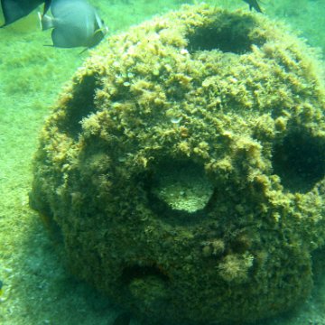 img_0430 img_0430