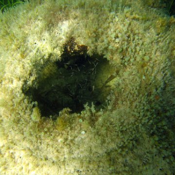img_0439 img_0439