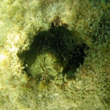 img_0440 img_0440