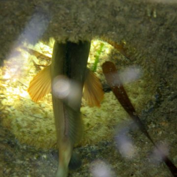 img_0444 img_0444