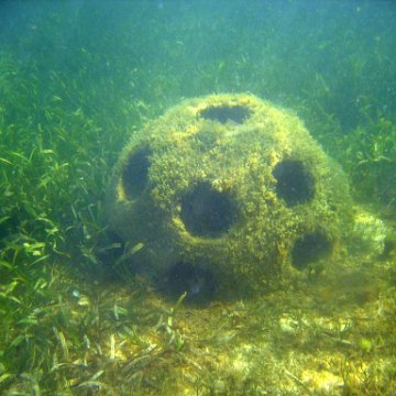 img_0447 img_0447