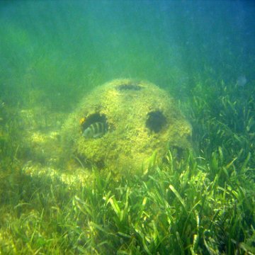 img_0448 img_0448