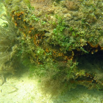 img_0451 img_0451