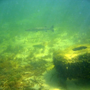 img_0453 img_0453