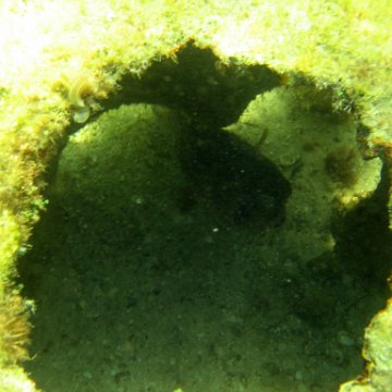 img_0454 img_0454