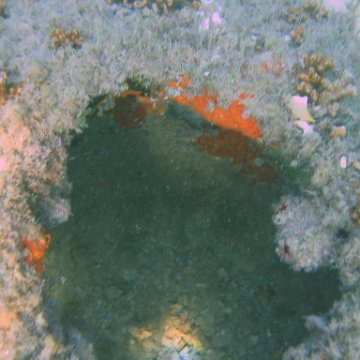 img_0716 img_0716
