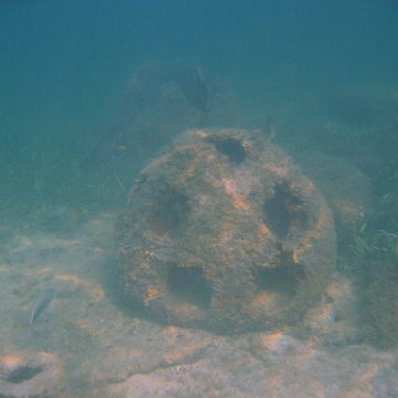 img_0723 img_0723