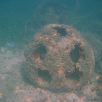 img_0724 img_0724