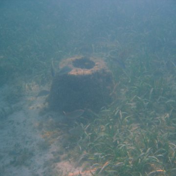 img_0725 img_0725