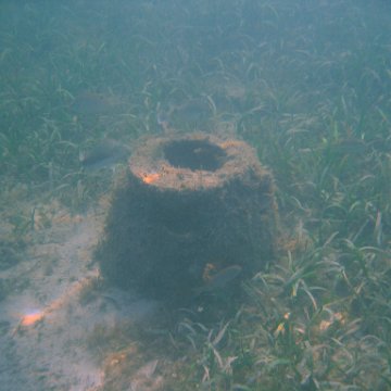 img_0726 img_0726