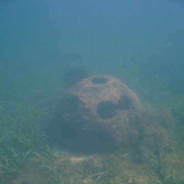 img_0728 img_0728