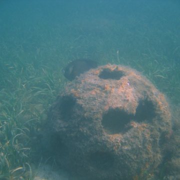 img_0729 img_0729
