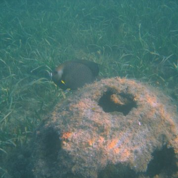 img_0730 img_0730