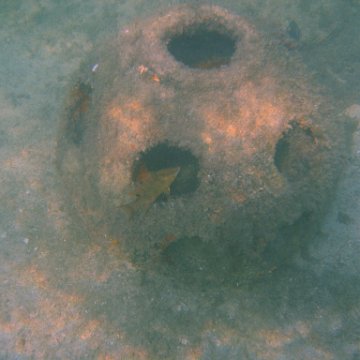 img_0731 img_0731