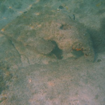 img_0734 img_0734