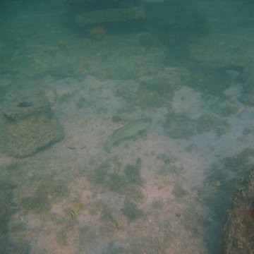 img_0735 img_0735