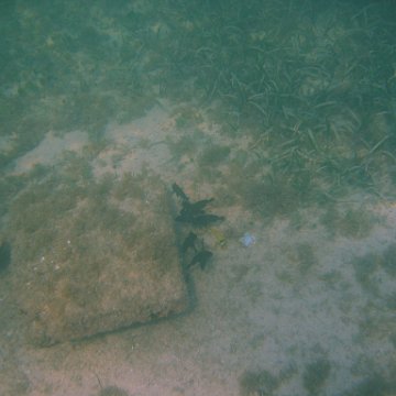 img_0737 img_0737