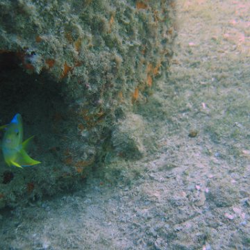 img_0738 img_0738