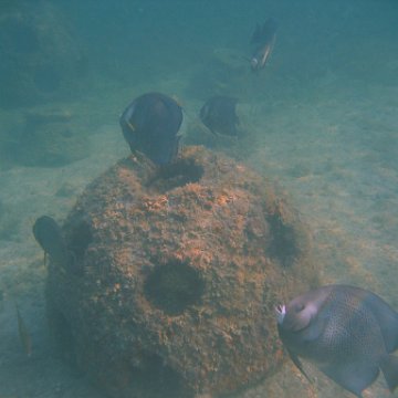img_0740 img_0740