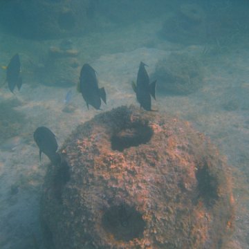 img_0742 img_0742