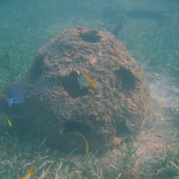 img_0745 img_0745