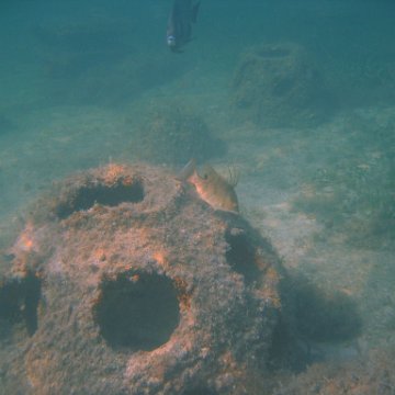 img_0747 img_0747