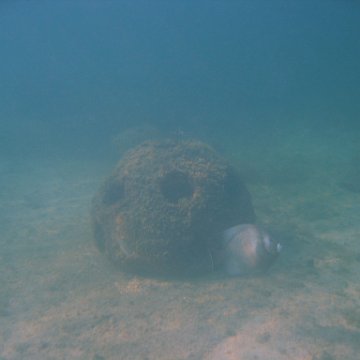 img_0748 img_0748