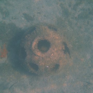img_0751 img_0751