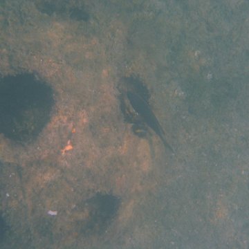 img_0752 img_0752