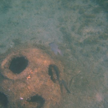 img_0753 img_0753