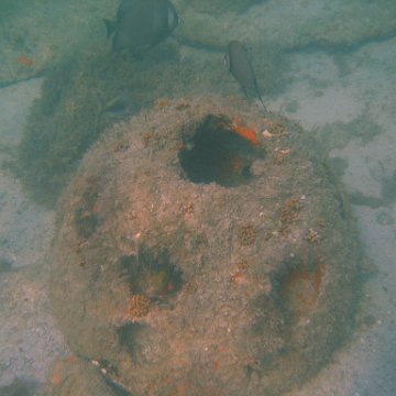 img_0754 img_0754