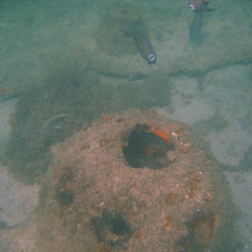 img_0755 img_0755