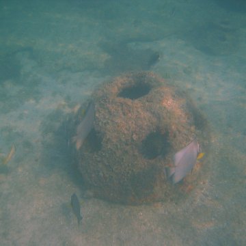 img_0756 img_0756