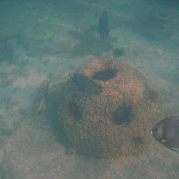 img_0757 img_0757
