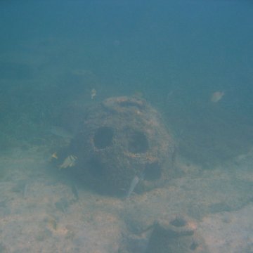 img_0758 img_0758