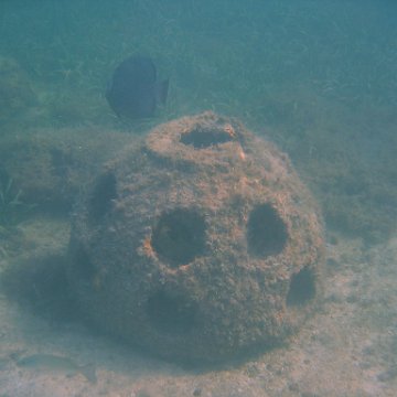 img_0759 img_0759