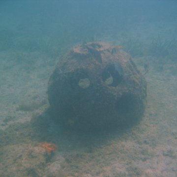img_0761 img_0761