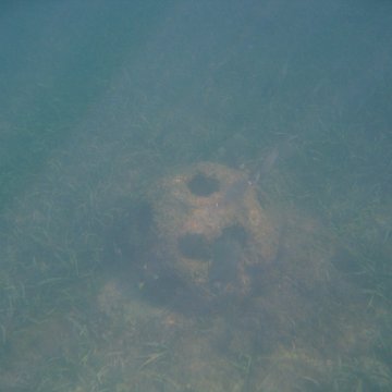 img_0763 img_0763