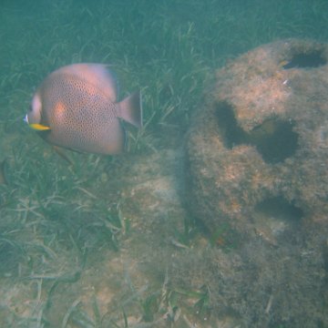 img_0764 img_0764