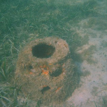 img_0765 img_0765