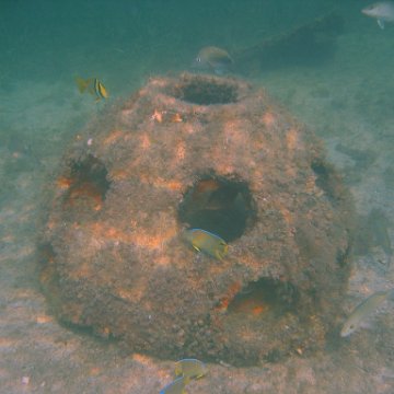 img_0766 img_0766